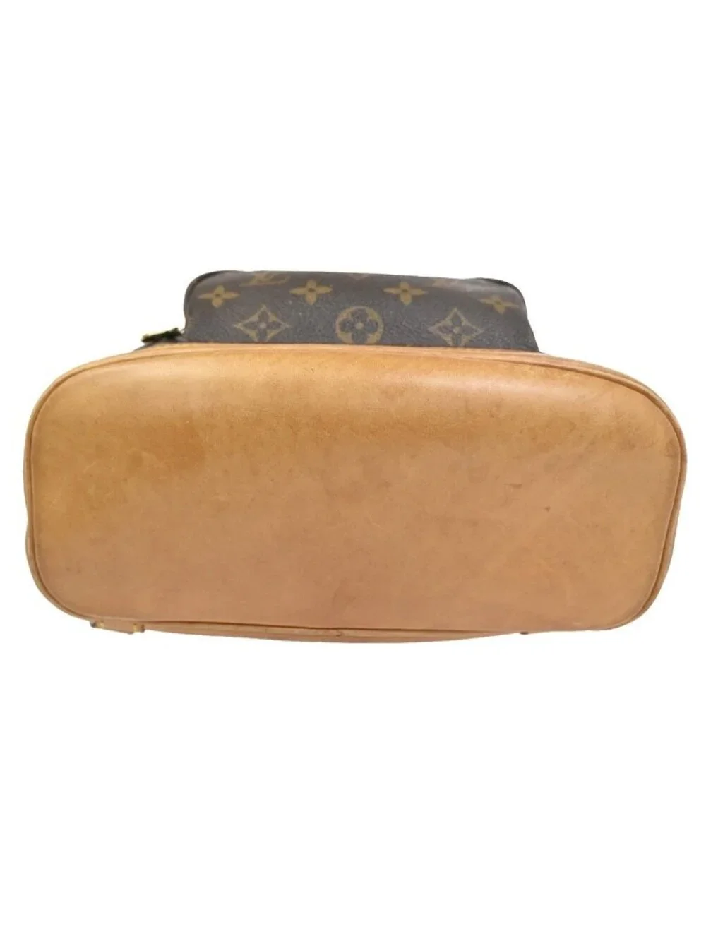 Louis Vuitton brand louis